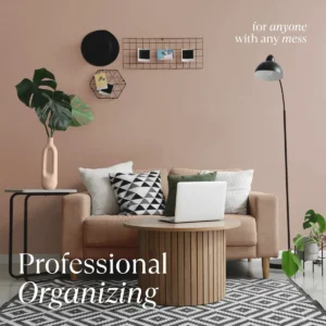 Professional Organizing Services